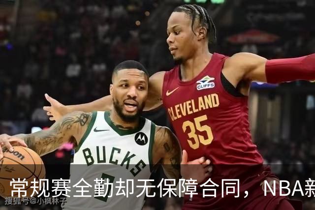常规赛全勤却无保障合同，NBA新规则引发争议