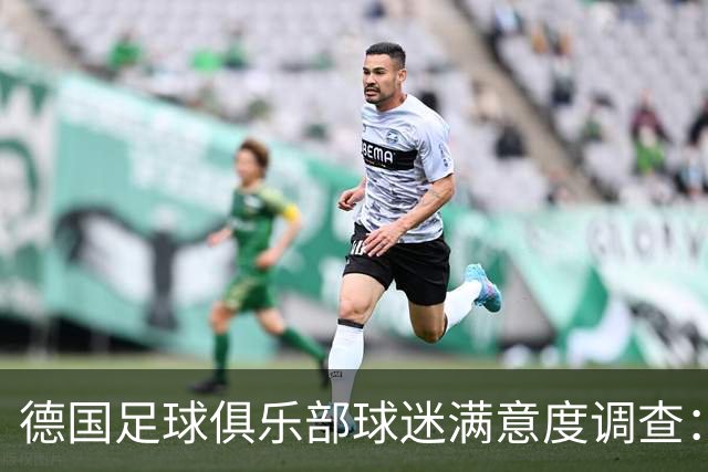 德国足球俱乐部球迷满意度调查：拜仁遥遥领先，沃尔夫斯堡最不满