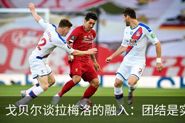 戈贝尔谈拉梅洛的融入：团结是实现目标的关键