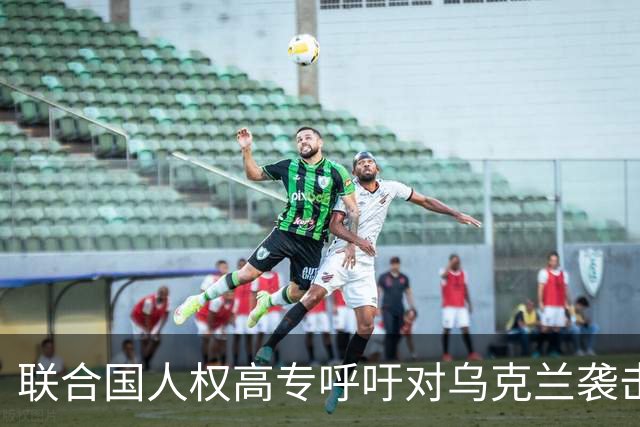 联合国人权高专呼吁对乌克兰袭击平民事件进行调查