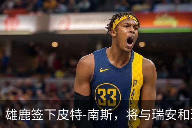 雄鹿签下皮特-南斯，将与瑞安和琼斯共赴新赛季