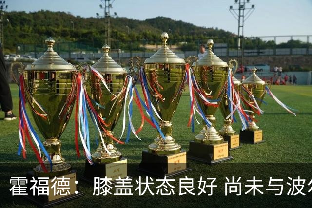 霍福德：膝盖状态良好 尚未与波尔津吉斯沟通