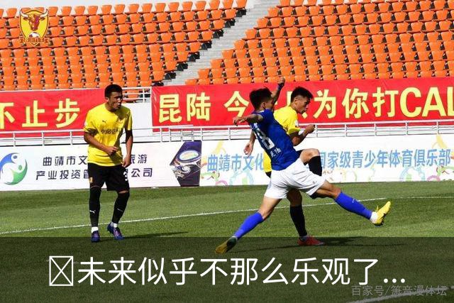 😅未来似乎不那么乐观了...