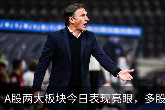 A股两大板块今日表现亮眼，多股涨停