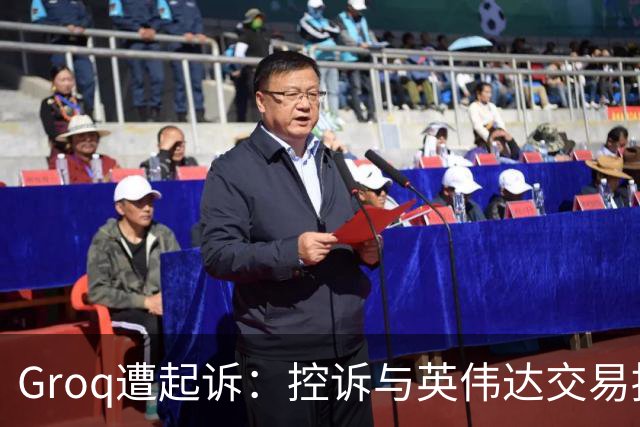 Groq遭起诉：控诉与英伟达交易损害小股东权益