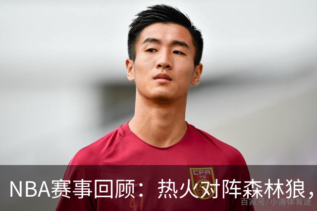 NBA赛事回顾：热火对阵森林狼，字母哥表现抢眼